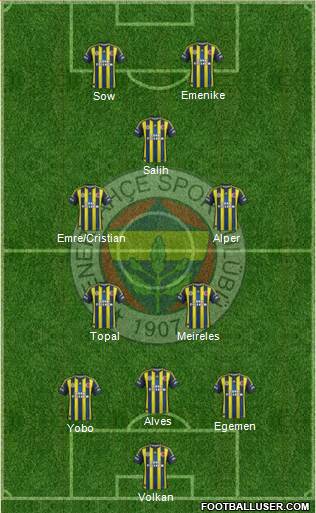 Fenerbahçe SK Formation 2013