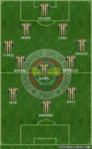 Fenerbahçe SK Formation 2013