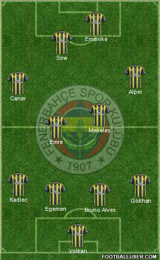 Fenerbahçe SK Formation 2013