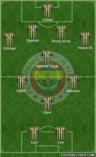 Fenerbahçe SK Formation 2013