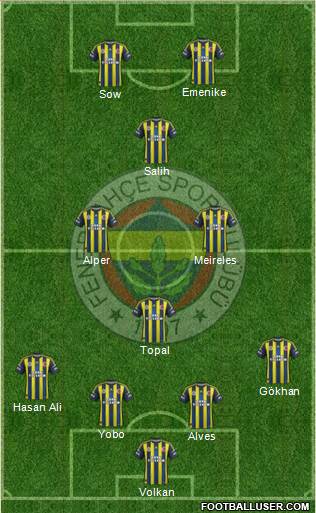 Fenerbahçe SK Formation 2013