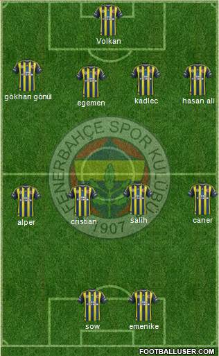 Fenerbahçe SK Formation 2013