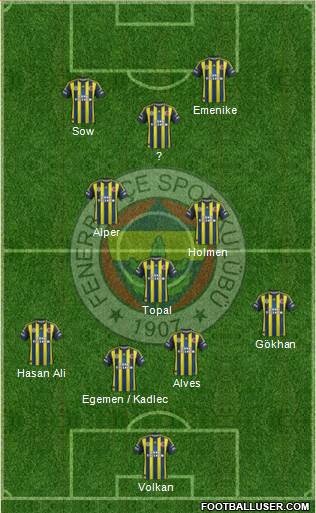 Fenerbahçe SK Formation 2013