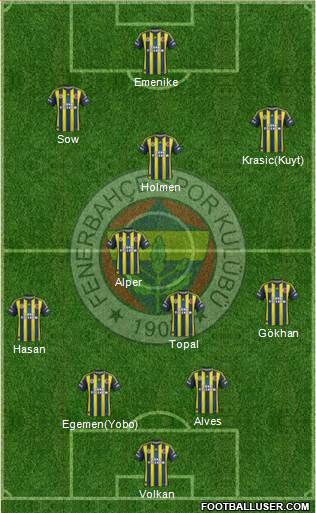 Fenerbahçe SK Formation 2013