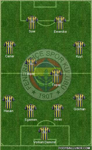 Fenerbahçe SK Formation 2013