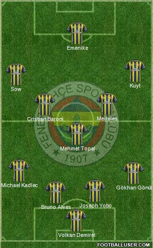 Fenerbahçe SK Formation 2013