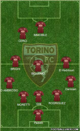 Torino Formation 2013