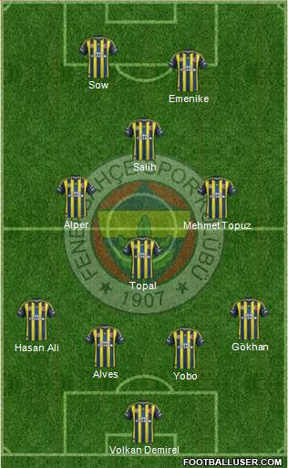 Fenerbahçe SK Formation 2013