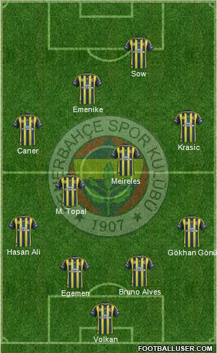 Fenerbahçe SK Formation 2013