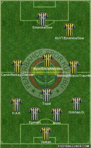 Fenerbahçe SK Formation 2013