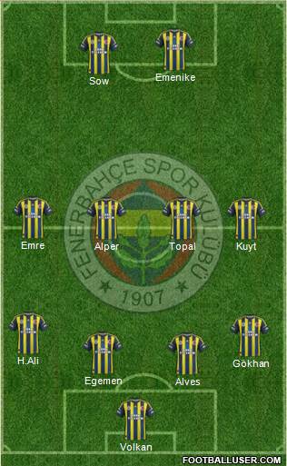 Fenerbahçe SK Formation 2013