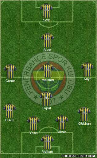 Fenerbahçe SK Formation 2013