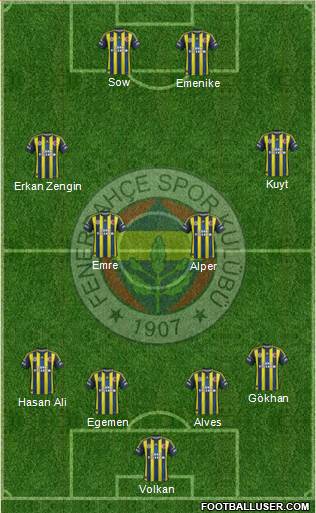 Fenerbahçe SK Formation 2013