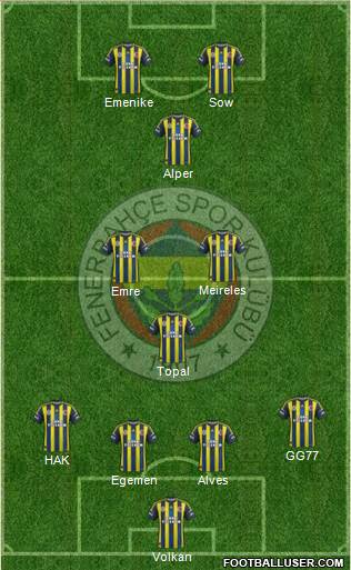 Fenerbahçe SK Formation 2013