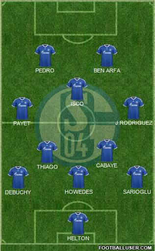 FC Schalke 04 Formation 2013