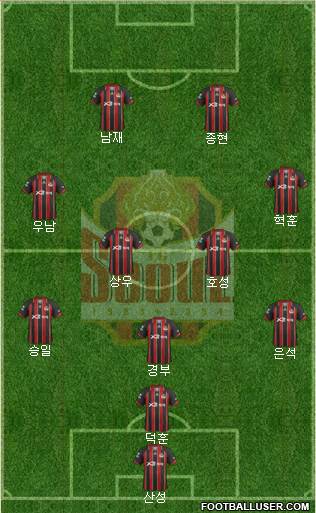 FC Seoul Formation 2013