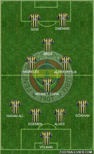 Fenerbahçe SK Formation 2013