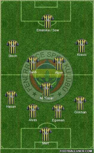 Fenerbahçe SK Formation 2013