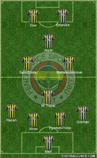 Fenerbahçe SK Formation 2013