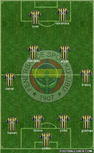 Fenerbahçe SK Formation 2013