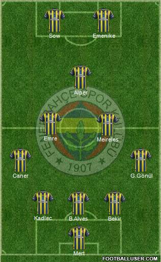 Fenerbahçe SK Formation 2013