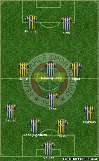 Fenerbahçe SK Formation 2013