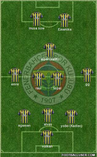 Fenerbahçe SK Formation 2013