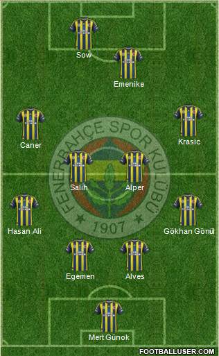 Fenerbahçe SK Formation 2013