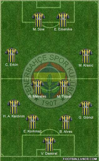 Fenerbahçe SK Formation 2013