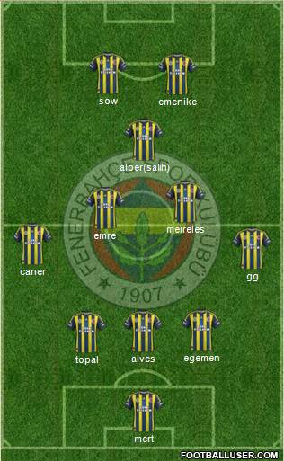 Fenerbahçe SK Formation 2013