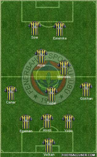 Fenerbahçe SK Formation 2013