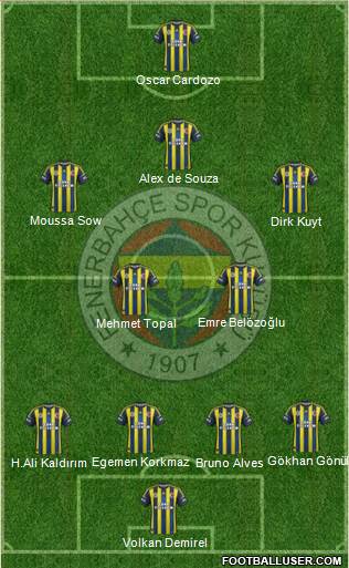 Fenerbahçe SK Formation 2013