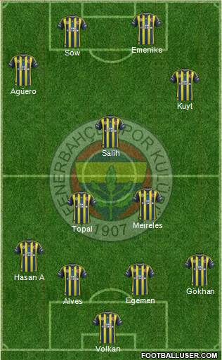 Fenerbahçe SK Formation 2013