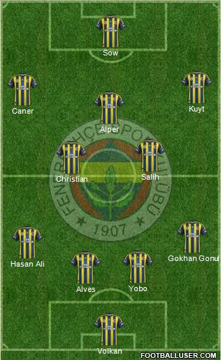 Fenerbahçe SK Formation 2013