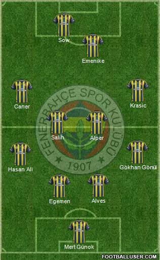 Fenerbahçe SK Formation 2013