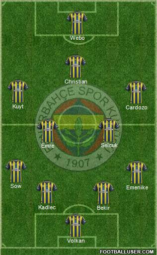 Fenerbahçe SK Formation 2013