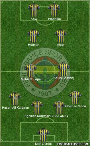 Fenerbahçe SK Formation 2013