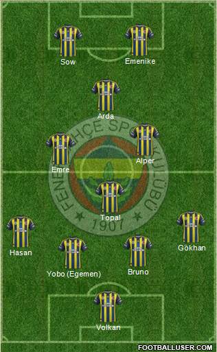 Fenerbahçe SK Formation 2013