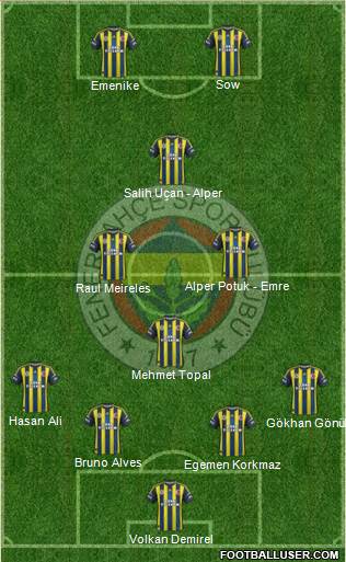 Fenerbahçe SK Formation 2013