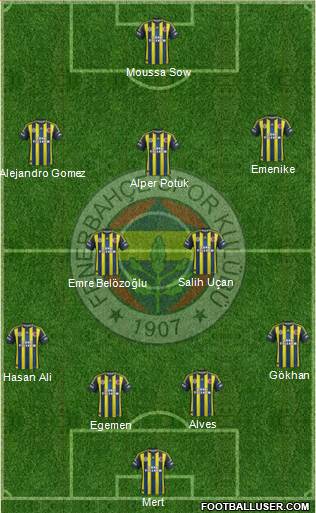 Fenerbahçe SK Formation 2013