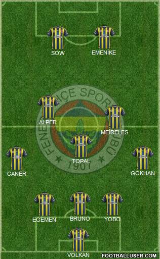 Fenerbahçe SK Formation 2013