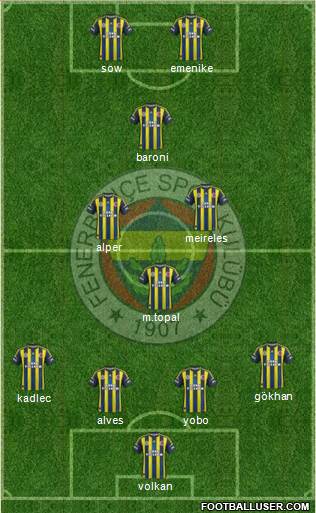 Fenerbahçe SK Formation 2013