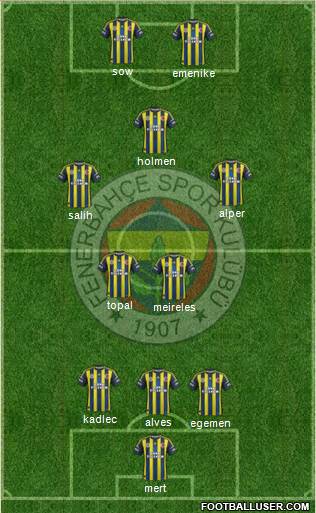 Fenerbahçe SK Formation 2013