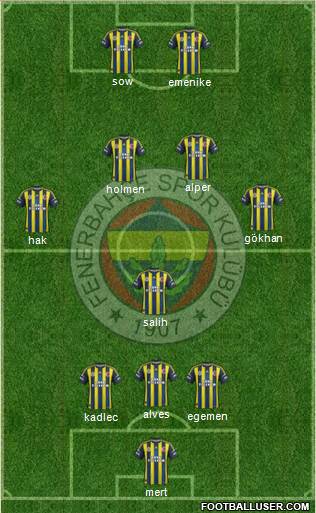 Fenerbahçe SK Formation 2013