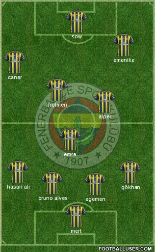 Fenerbahçe SK Formation 2013