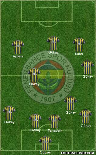 Fenerbahçe SK Formation 2013