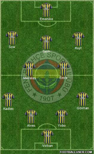 Fenerbahçe SK Formation 2013