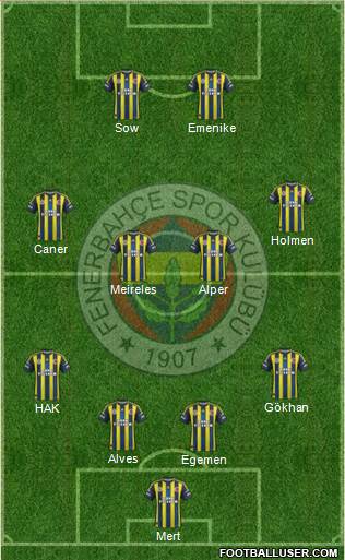 Fenerbahçe SK Formation 2013