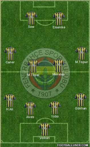 Fenerbahçe SK Formation 2013