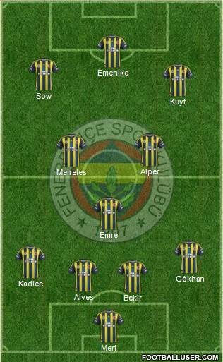 Fenerbahçe SK Formation 2013